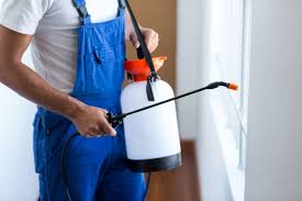 Best Fumigation Services  in Somerset, WI